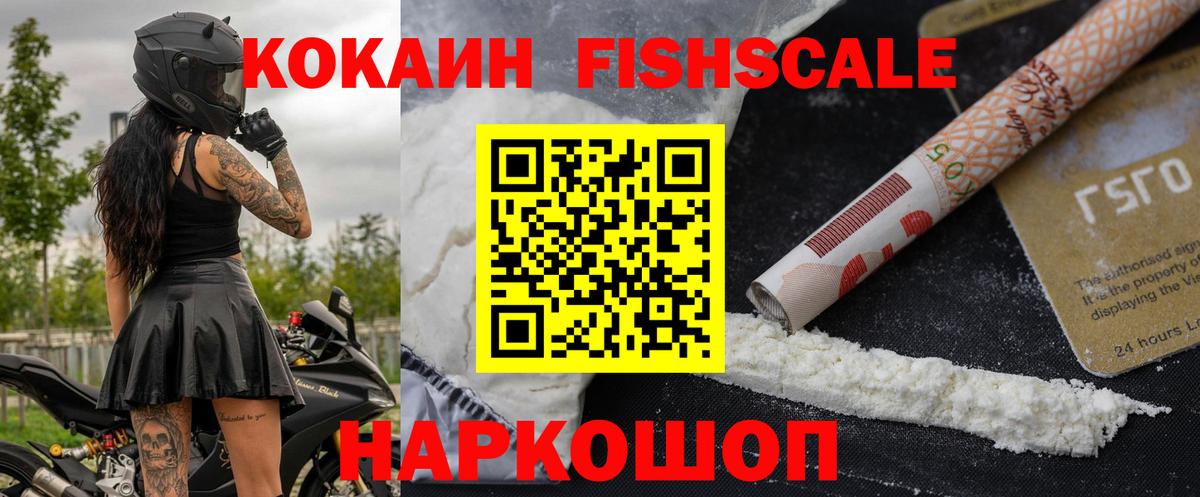 Cocaine FishScale Ефремов