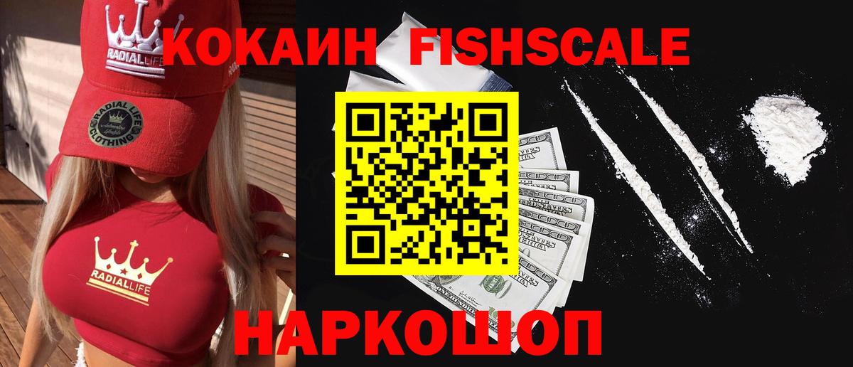 как найти закладки  COCAIN FishScale  КОКАИН  Ефремов  Вход с VPN  КОКАИН Боливия 