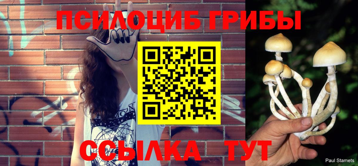 Псилоцибиновые грибы ЛСД Ефремов