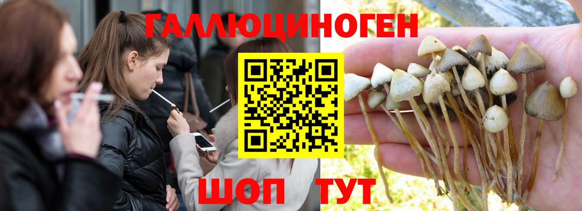 Меф Ефремов