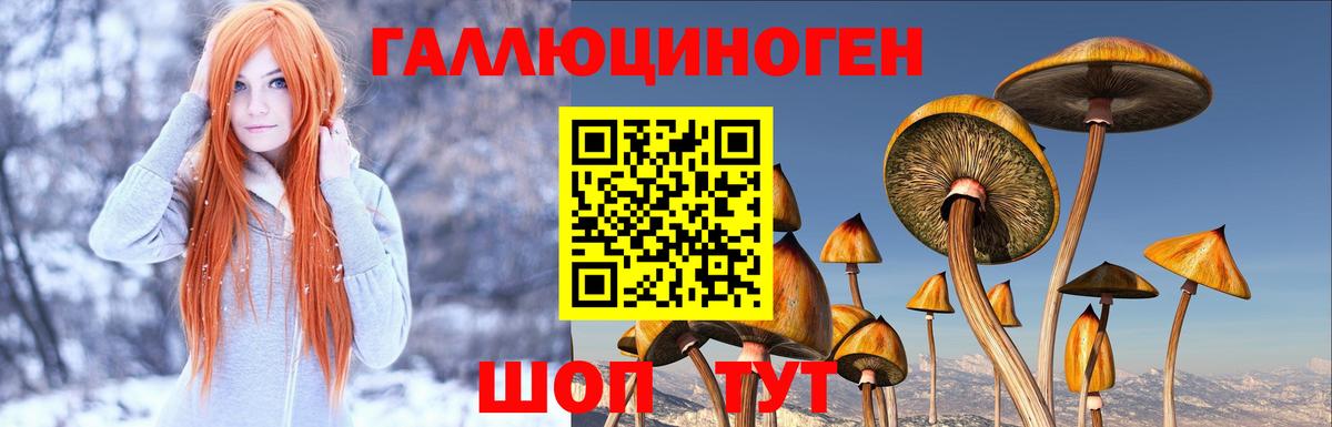 Псилоцибиновые грибы GOLDEN TEACHER  Вход с VPN  Ефремов 